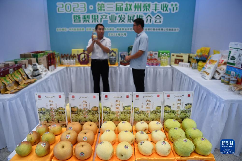 菲律宾共赢集团